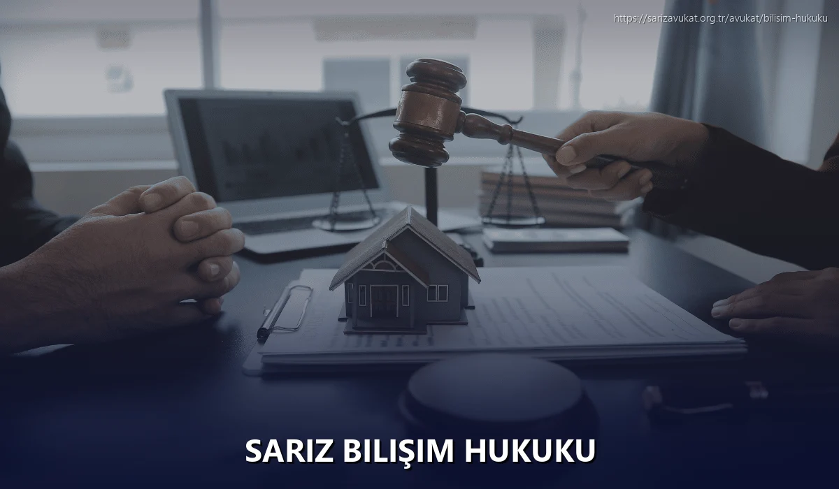 Sariz Bilişim Hukuku