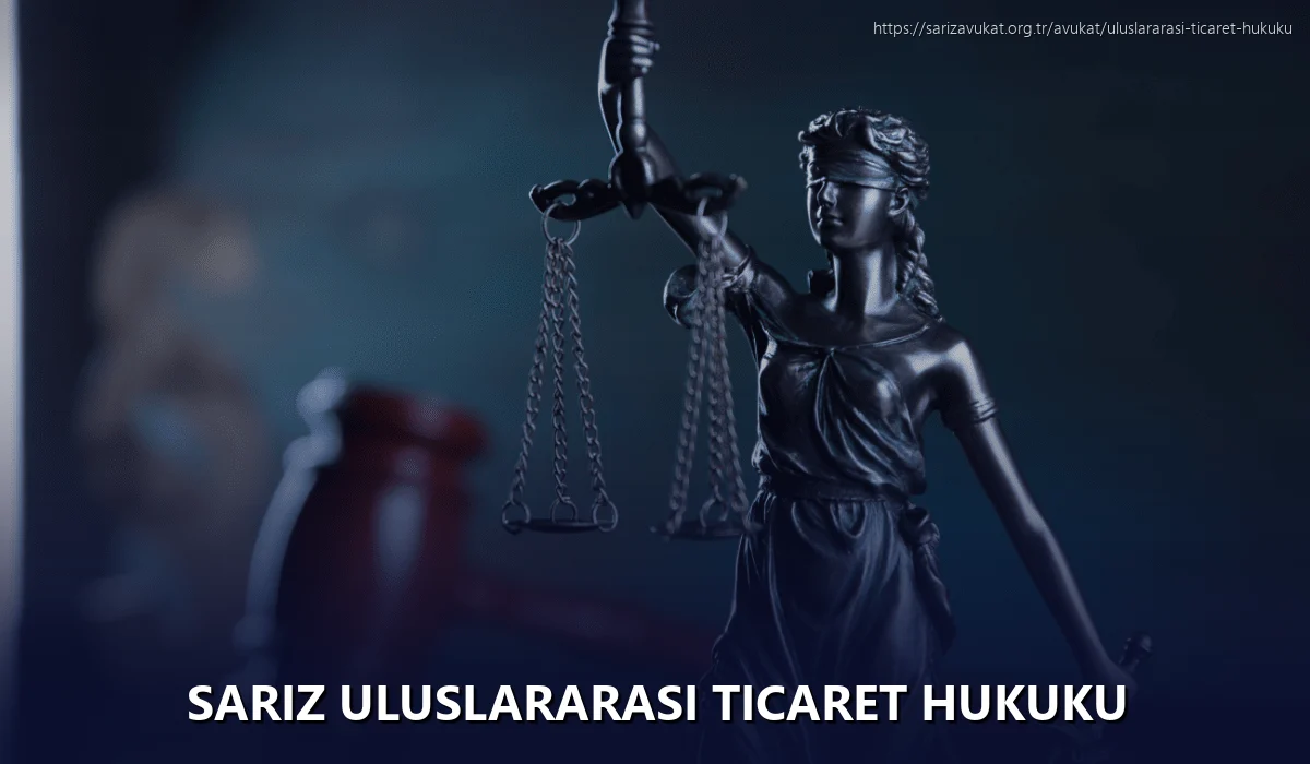 Sariz Uluslararası Ticaret Hukuku